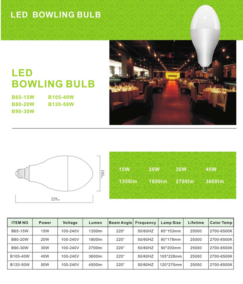 LED BOWLING BULB(图1)